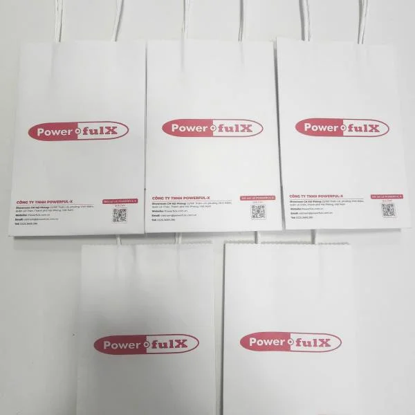 Nâng Tầm Giá Trị Sản Phẩm Với Dịch Vụ In Túi Giấy Kraft Cao Cấp