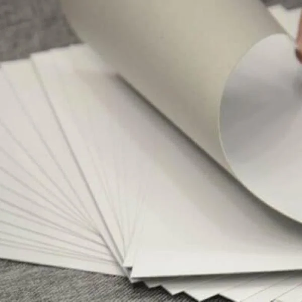 Giấy Ivory Là Gì? Tìm Hiểu Chất Liệu In Cao Cấp Được Ưa Chuộng Nhất Hiện Nay
