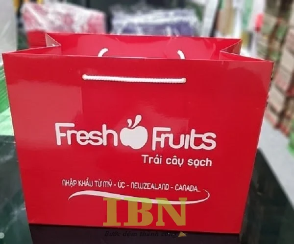 tui-giay-can-mang-15