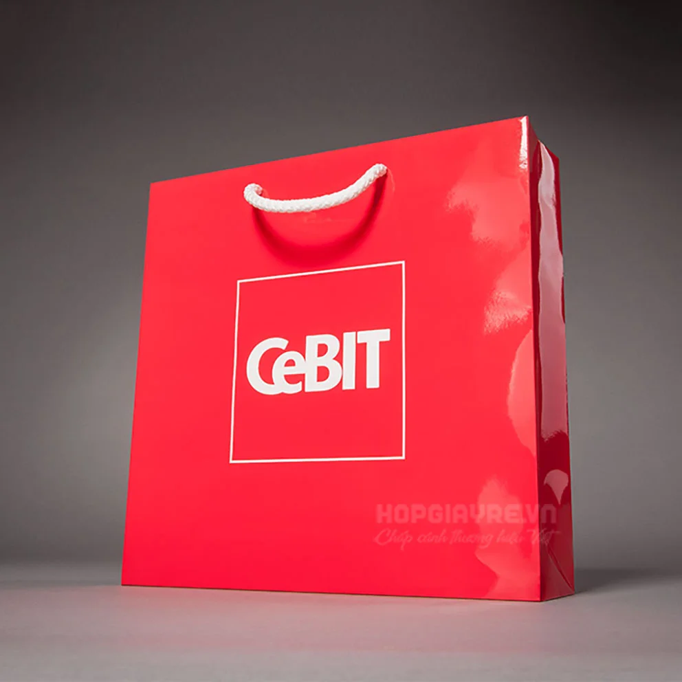 in túi giáy cán bóng- in Đại Phúc 